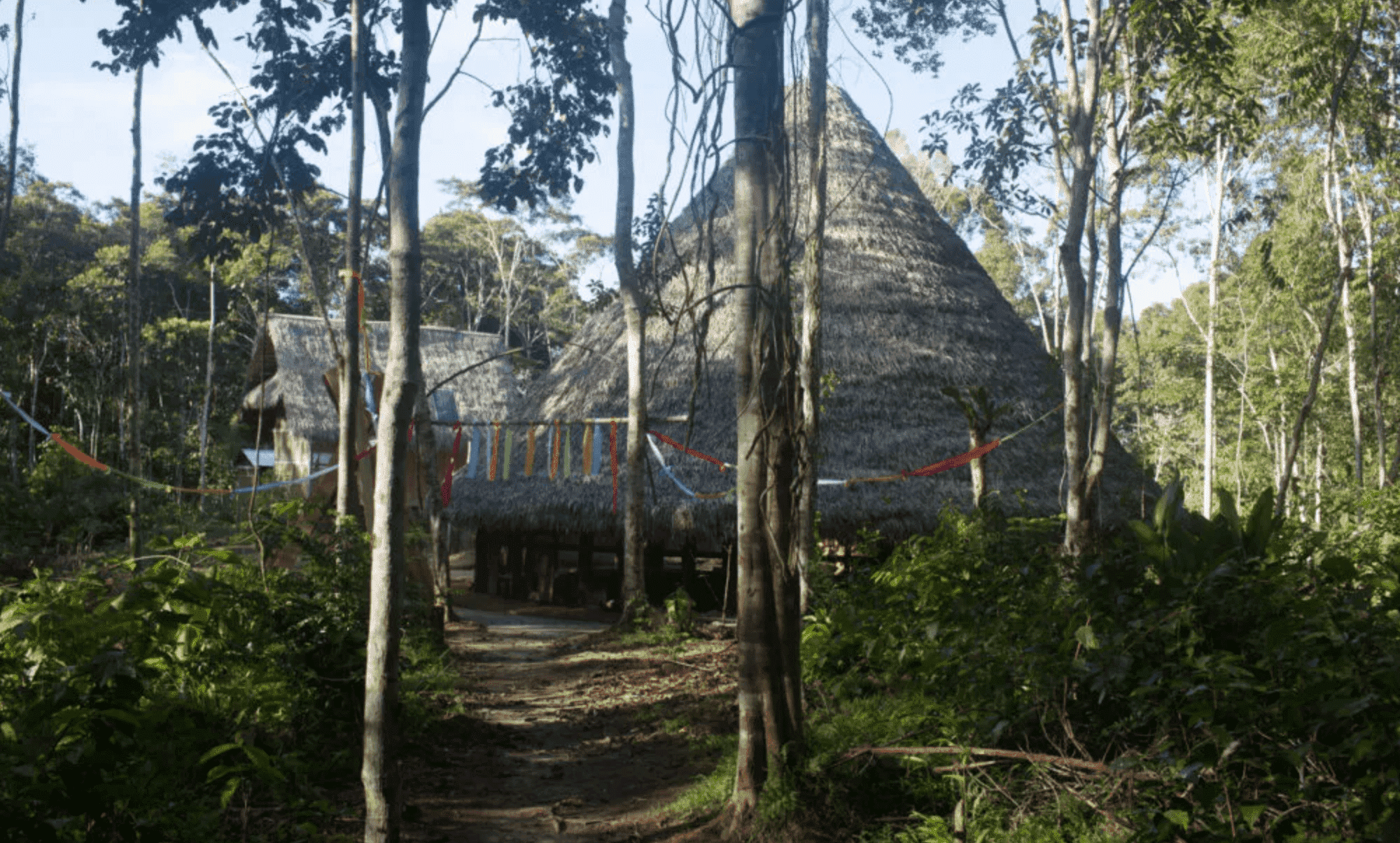 The Best Places to Go On an Ayahuasca Retreat in Peru